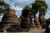 Ayutthaya, Thailand. Wat Phra Ram, A series of chedi located north of the west viharn.